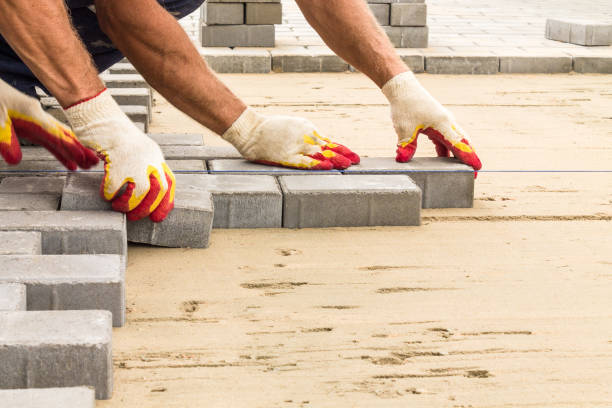 Best Driveway Repair Near Me  in Abbotsford, WI